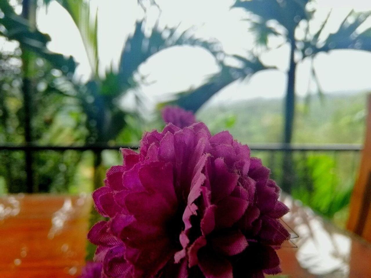 Nature Casa Bella Esterno foto
